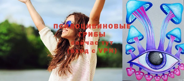 гашиш Ельня
